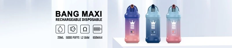 BANG MAXI 15000PUFFS VAPE
