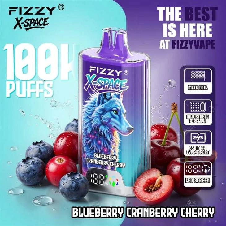 Fizzy X-Space 100K suppliers